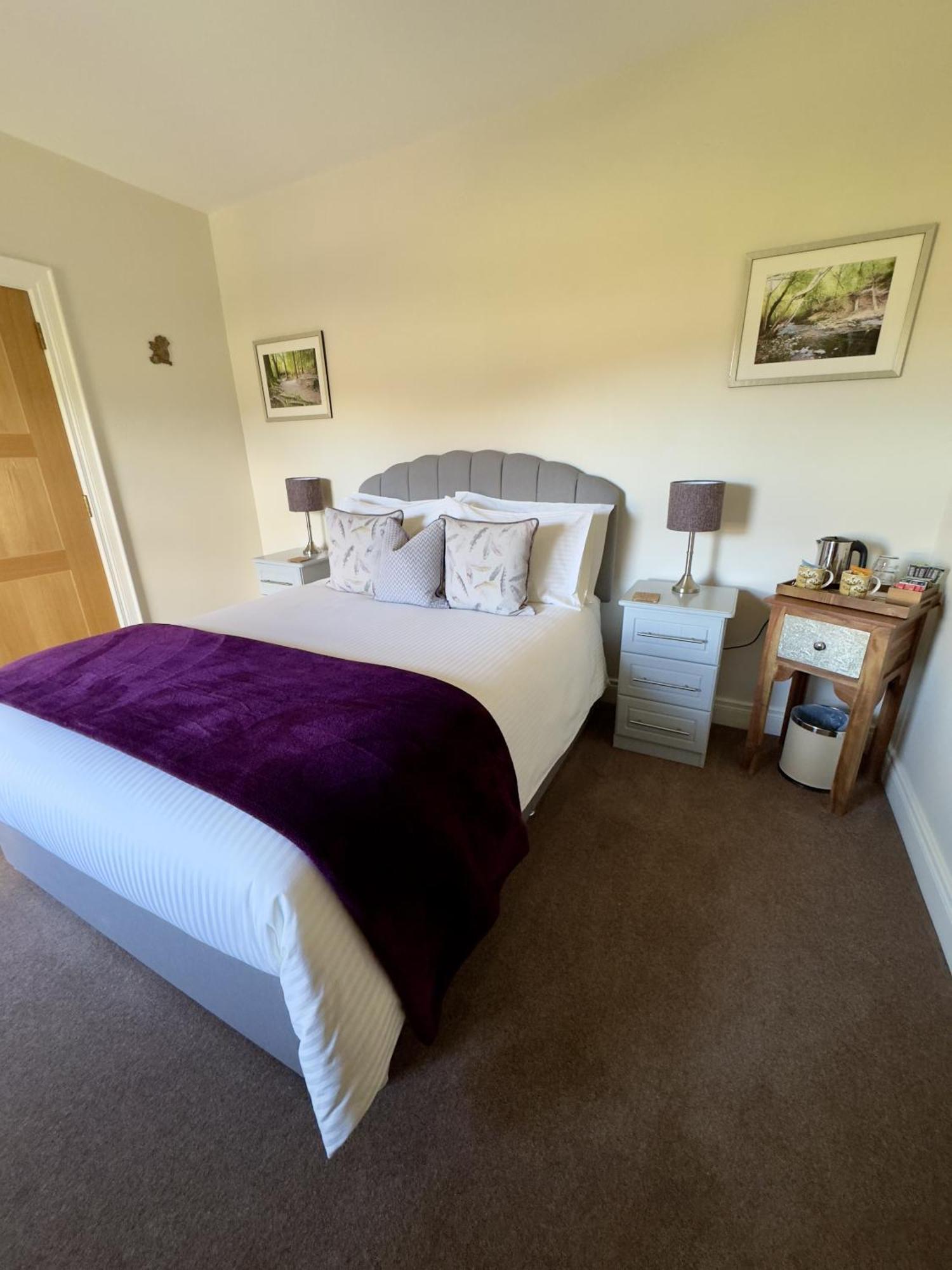 Mourne Country House Bed And Breakfast Кілкіл Номер фото